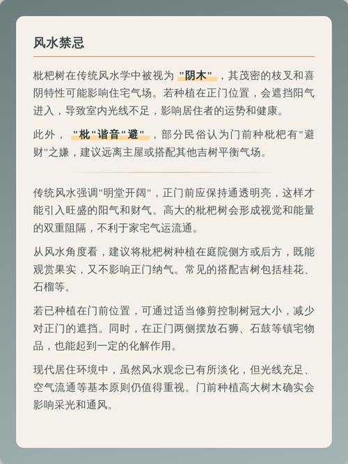 风水屋前种枇杷树会影响运势吗？