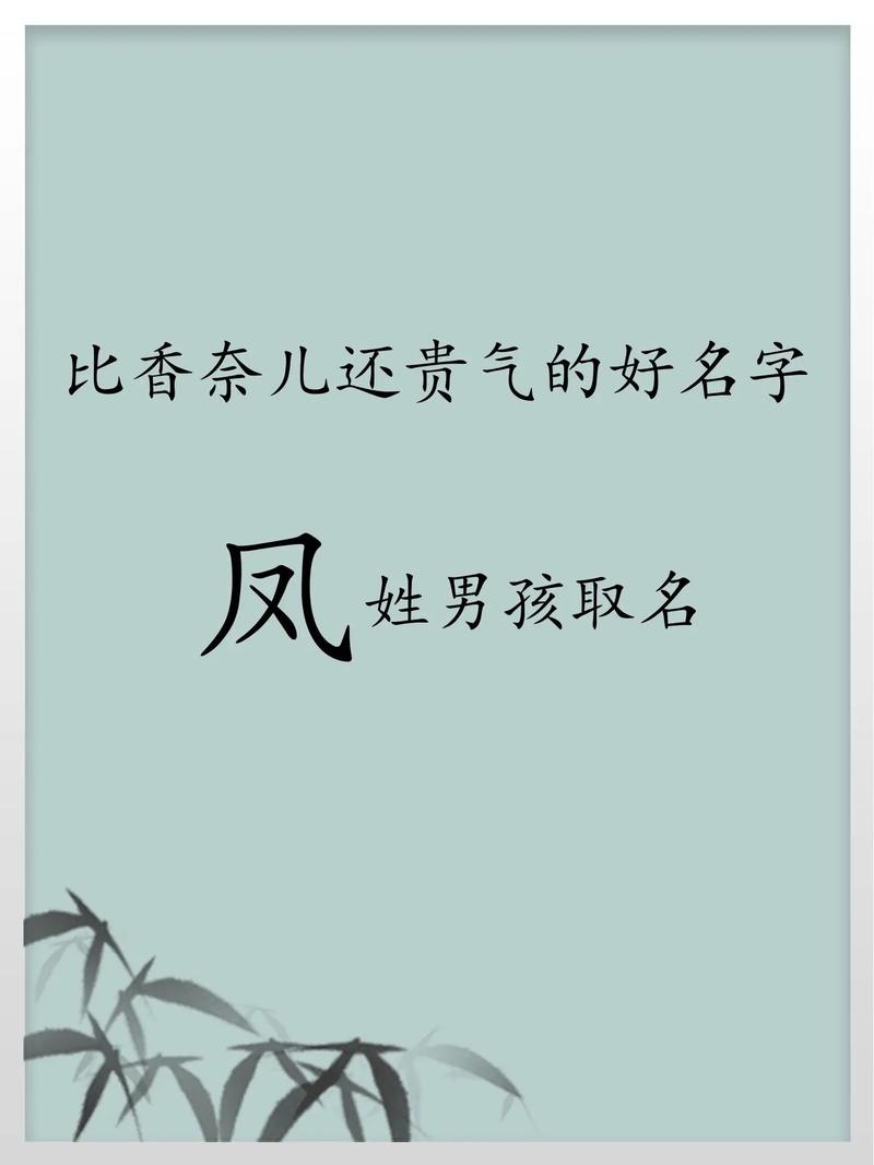 凤姓有涵养的小子叫什么名字比较好呢？有没有什么寓意深远的建议？