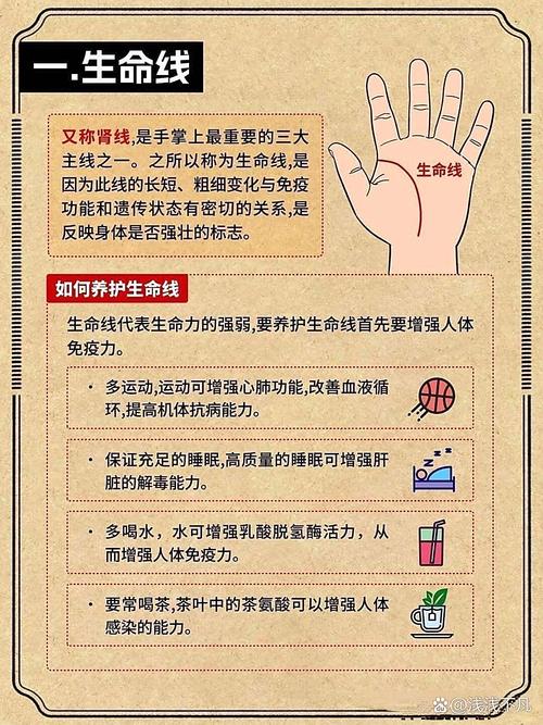 什么是强命线以及命强是什么意思？