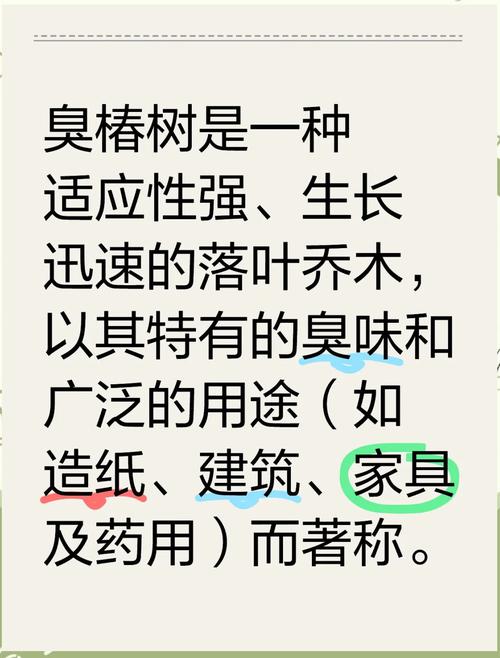 坟墓周边种植香椿树会对风水产生不良影响吗？