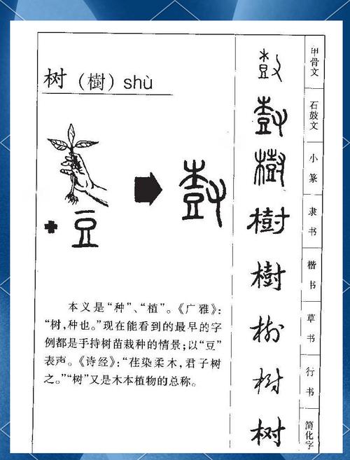 树字取名寓意男孩，嫩否体现坚韧、成长和庇护的美好愿景？