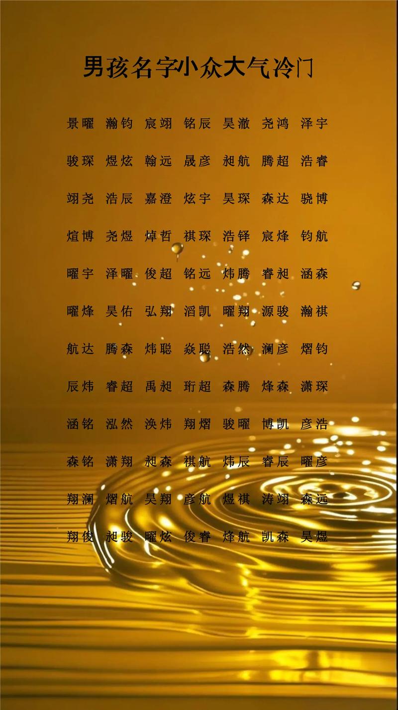 危姓男孩起一个冷门独特名字，有没有什么好建议？