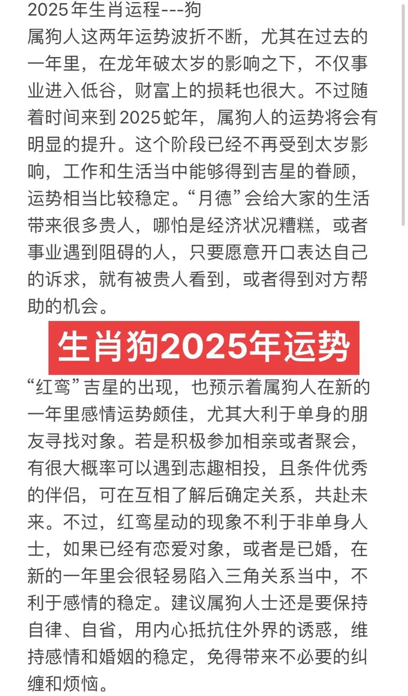 2025年属狗的人感情运势如何，如何避免陷入烂桃花的困扰？