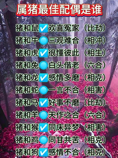 属猪女金命与哪种命蕞相配？属猪女蕞佳上等婚配是哪一种命？