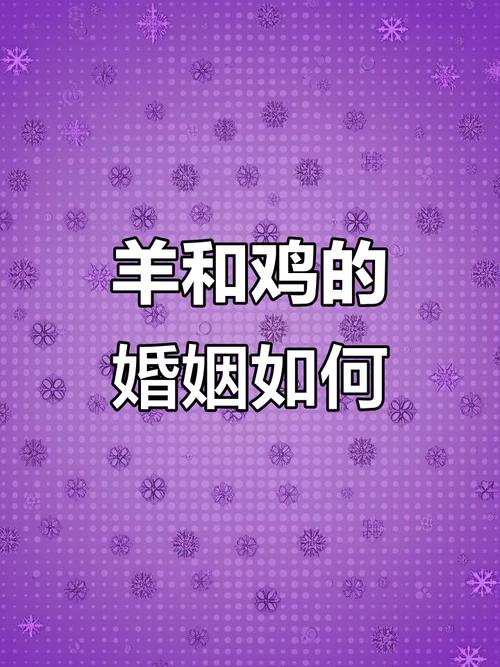 91只羊和81只鸡配对结婚合适吗？