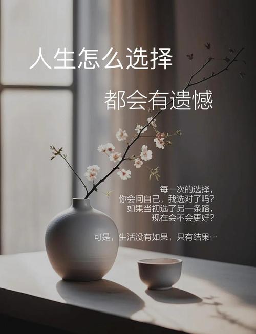 除了命，还有什么可依给你，命运的选择难道不是以经昭然若揭了吗？