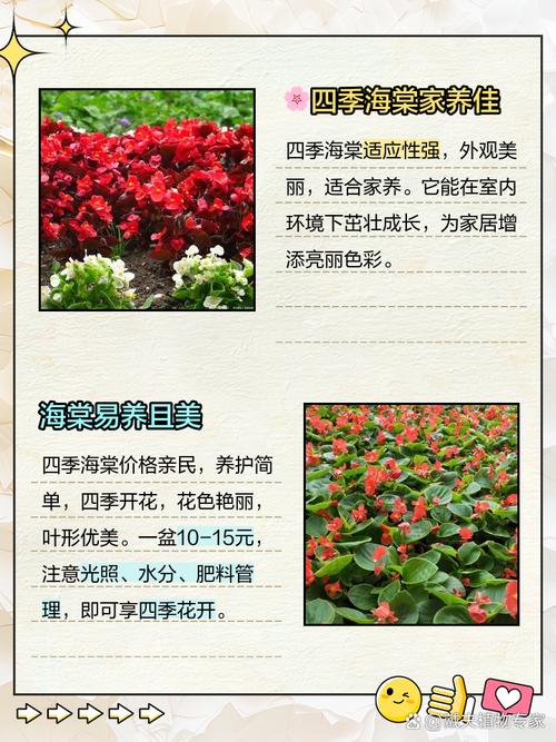 为什么风水院子里不宜种植花卉植物呢？