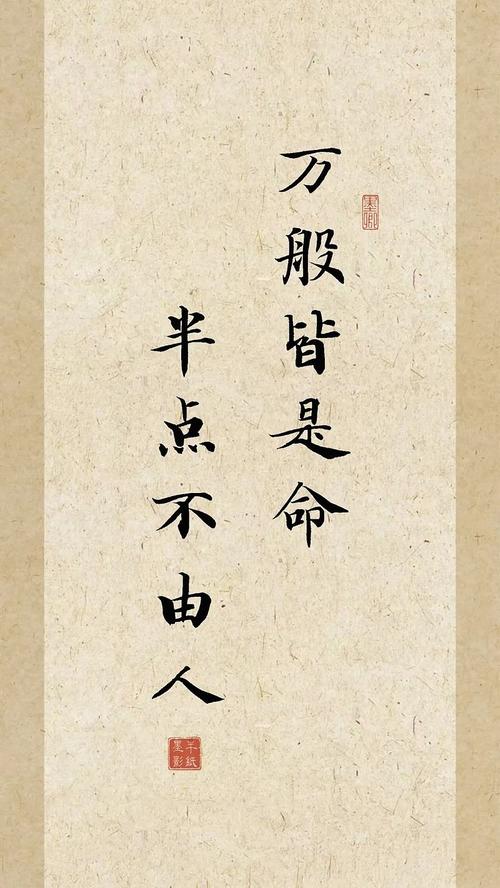 命运高低由天定，‘我命贵还是命贱’由天注定，‘万般皆有命半点不由人’的真理如何解释？