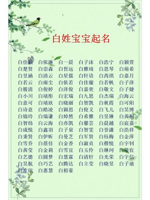 如何给白姓女宝宝取一个既独特又优美的名字呢？