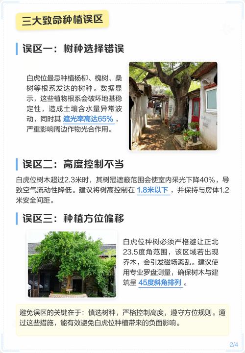 风水白虎位适合种植树木吗？