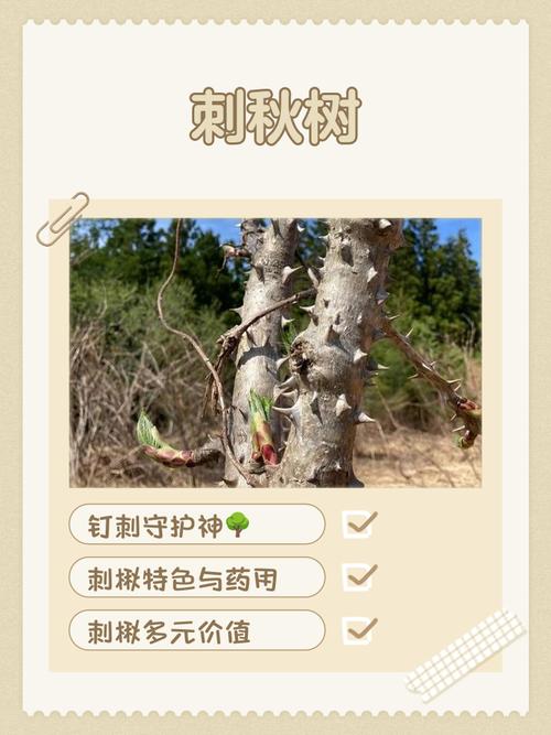 秋天是否必须砍伐风水树？