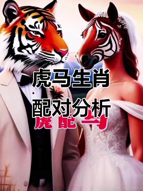 属虎和属马的人合不合，他们的性格和命运是否相配呢？
