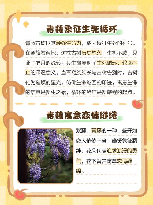 为什么说藤本植物对风水有不利影响呢？