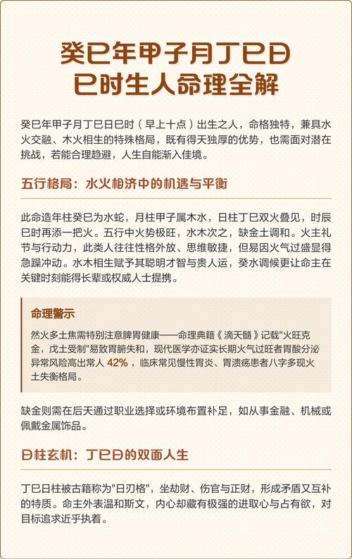 请问丁巳己酉癸未是什么命，癸巳年指的是哪一年呢？