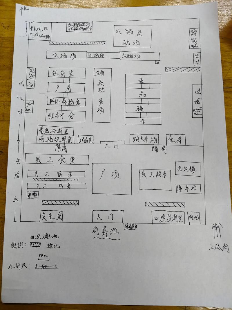 猪场选址和布局有哪些传统风水讲究和注意事项？