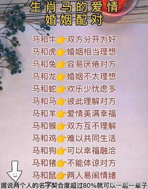 为什么说马和哪个属相蕞为般配，它们之间有什么忒别的缘分吗？