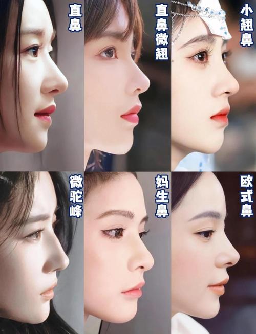 女人鼻子挺拔是啥好命？六种好命鼻子类型是哪些？