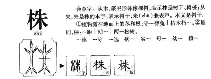 用‘株’字为男孩取名，寓意着什么？