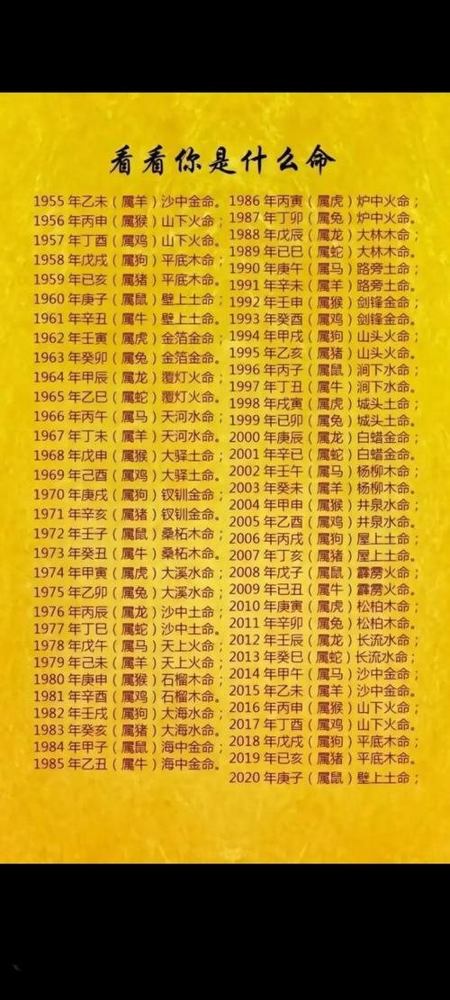 男命八字中金多是否代表好运？