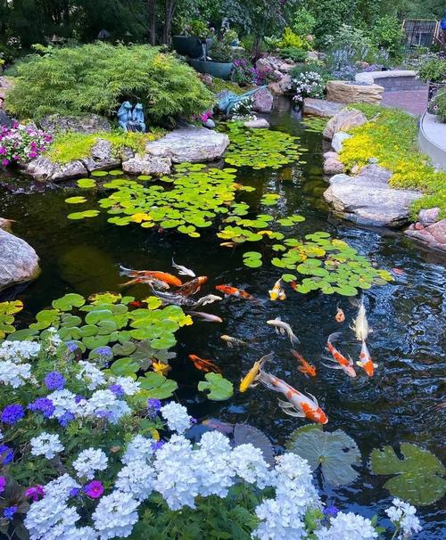 水池花草风水有哪些讲究？对家居环境好吗？