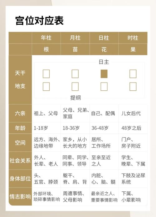 如何查询八字中的胎命身？