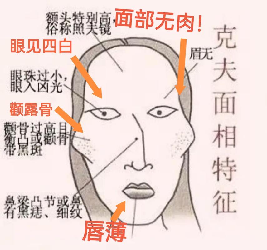 脸上无肉面相的人命运如何？面相无肉代表什么命运？