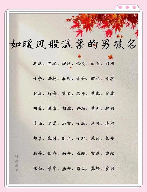 暖字五行属什么？男孩取名寓意‘温暖’有哪些好选择？