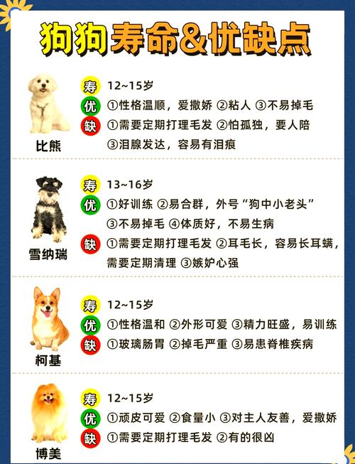 属相狗的人买房时哪几层楼更符合我的命格呢？