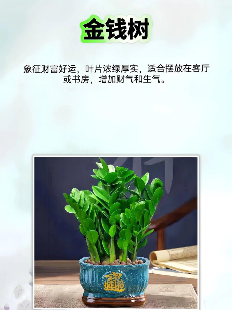 土命家庭适合养哪些植物以旺财运？
