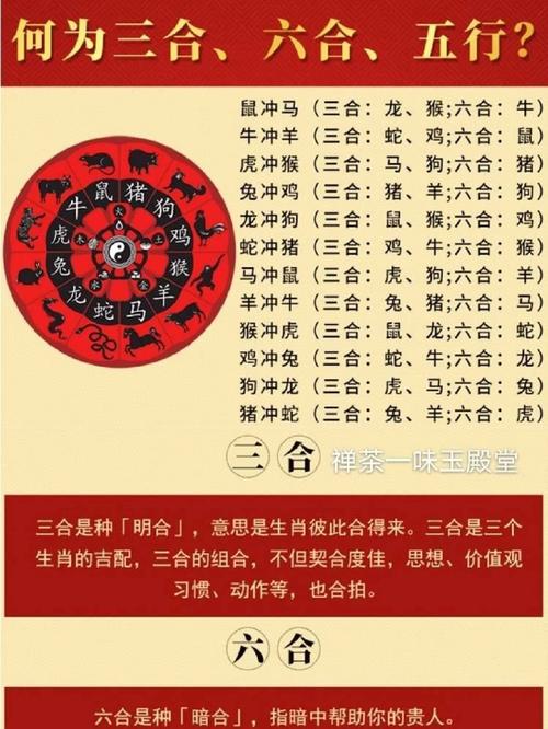 2023年兔年是什么命？这个命理特点有哪些？