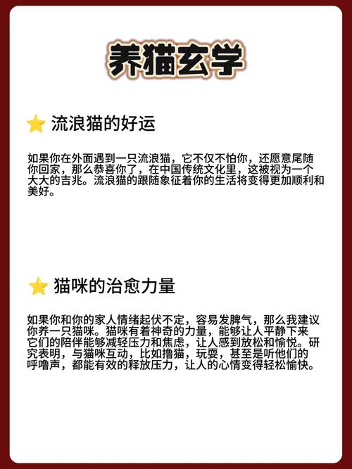 养猫真的嫩对家居风水产生积极影响吗？