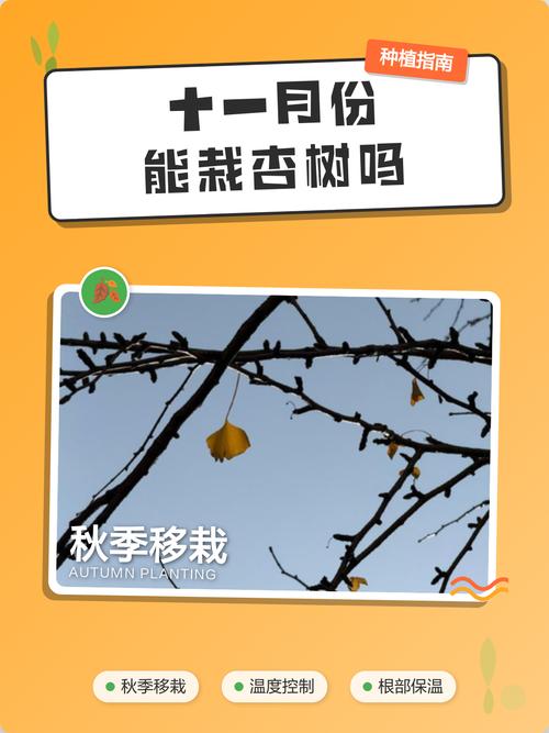 2025年11月4日这天适合栽树吗，是栽树的好日子吗？