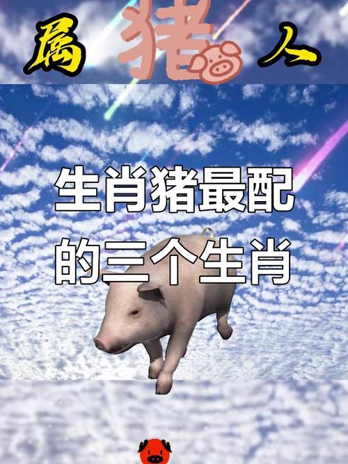 属猪的人与属猪的人相配会否财运亨通，他们的属相相合吗？