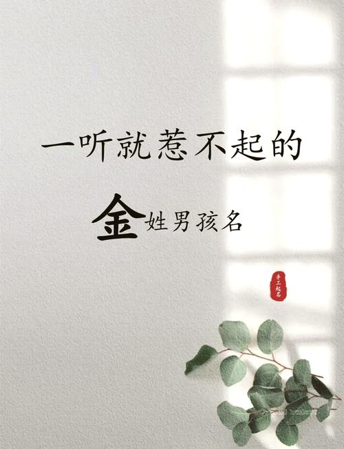 金姓大气文雅的男宝宝名字叫什么？有没有什么寓意深刻的好名字推荐？