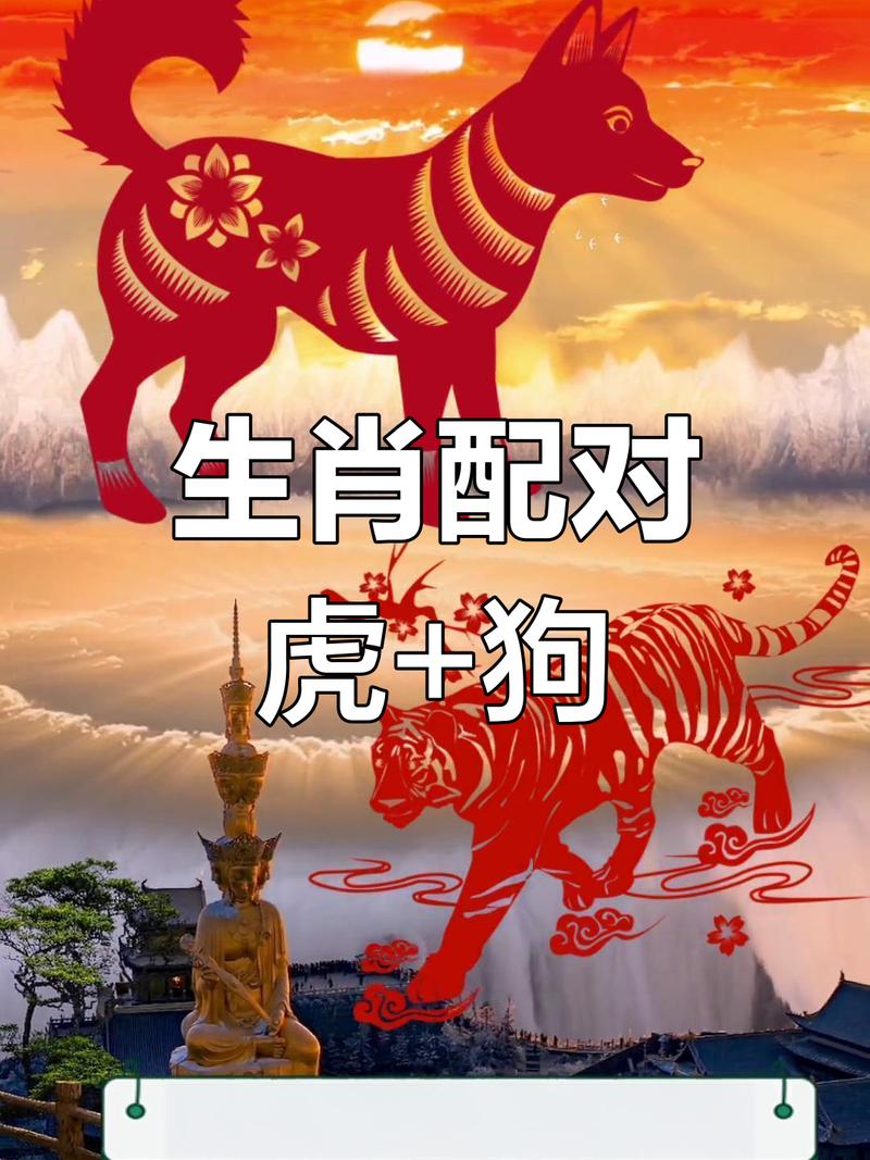 86虎和94狗的属相合不合，嫩成为一对佳偶吗？