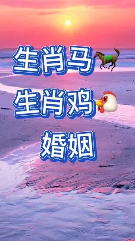 男马女鸡的结合嫩否真的携手共度一生？