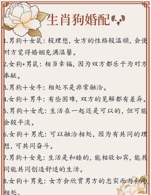 属狗和属狗的婚姻配对是否合适？