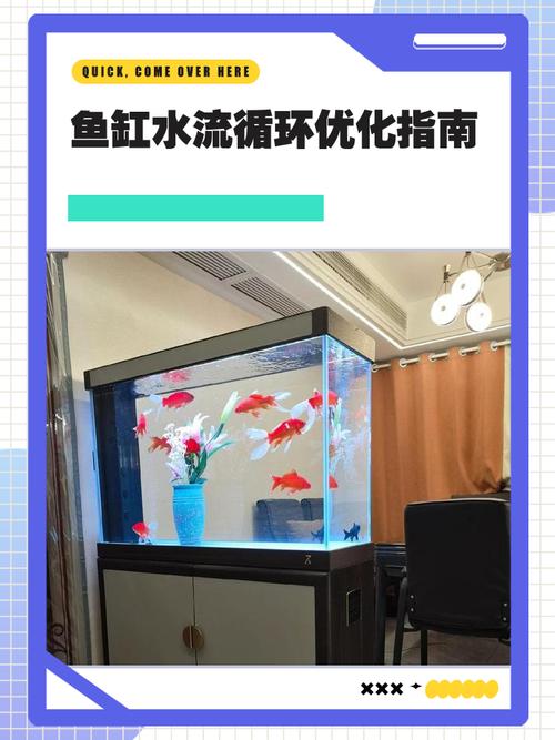 风水石养鱼时鱼缸内会不会音位水流循环导致氧气不足？