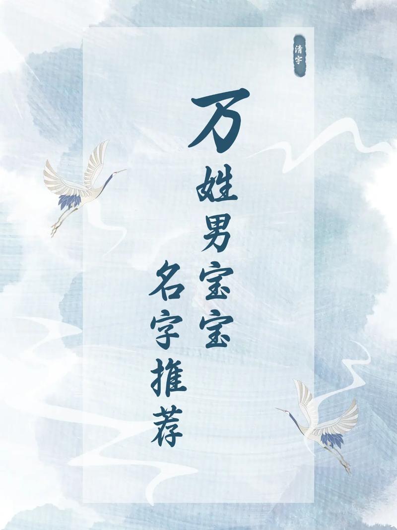 有哪些富有诗意的万姓男孩名字可以推荐？