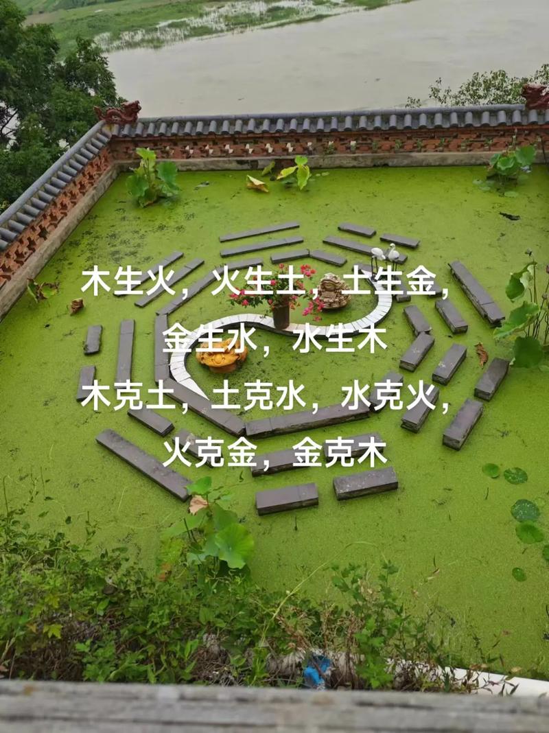 平地木命适合用什么水命养护，哪种命格最能旺平地木？