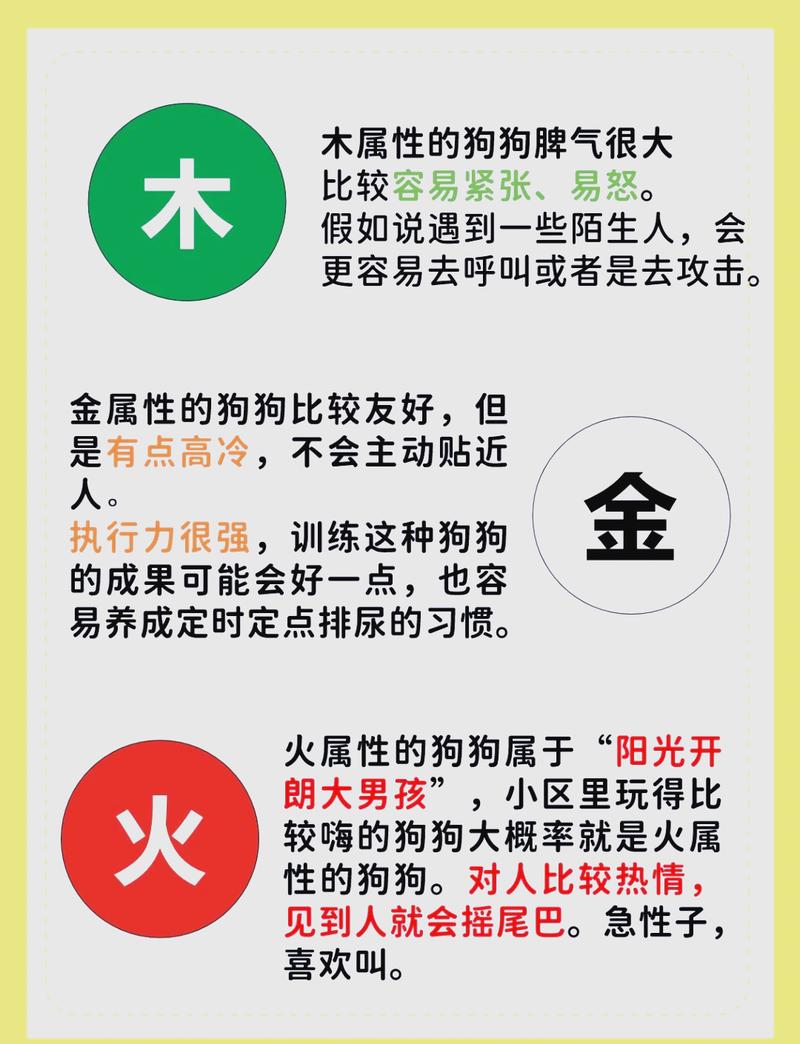 命理中天狗入命是哪个生肖？命里有天狗究竟是什么含义？