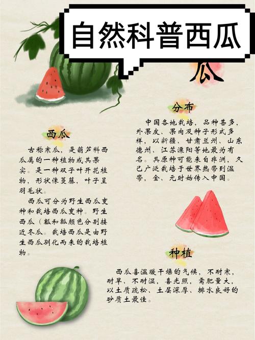 风水门前种西瓜合适吗？对运势有影响吗？