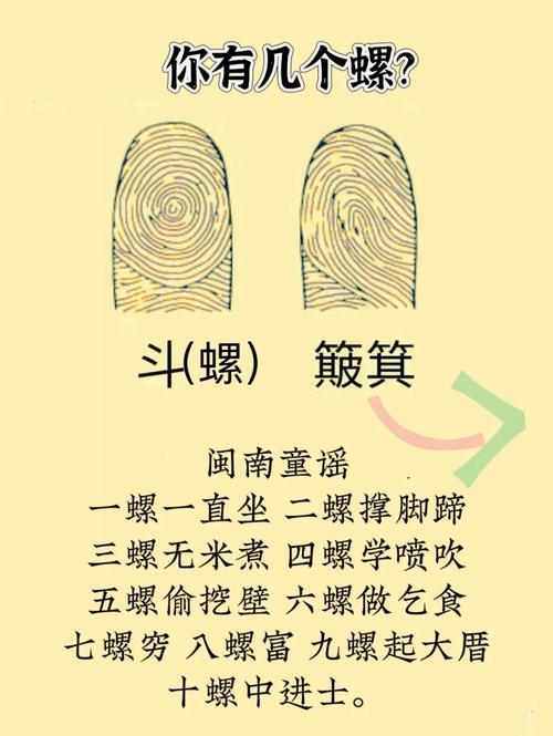 女命二官二夫，手指斗命如何命运？