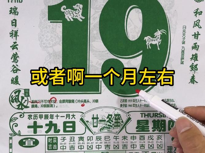 2025年12月19日作为黄道吉日，是否为栽种的最佳选择日期？