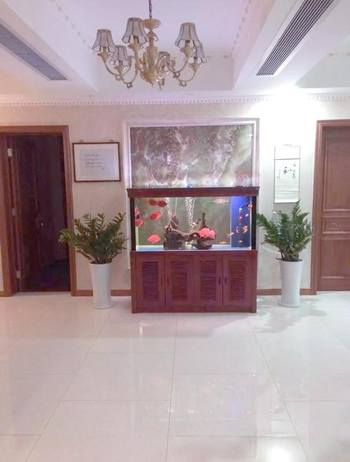 客厅摆放鱼缸能否有效改善家居风水？