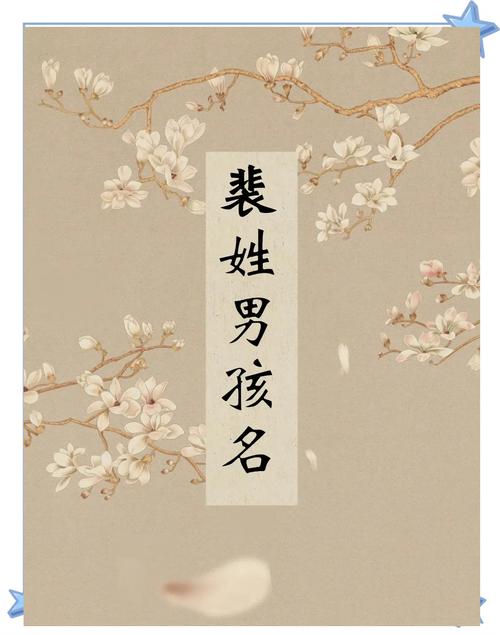 裴姓男孩起一个冷门独特名字，有没有什么好主意？