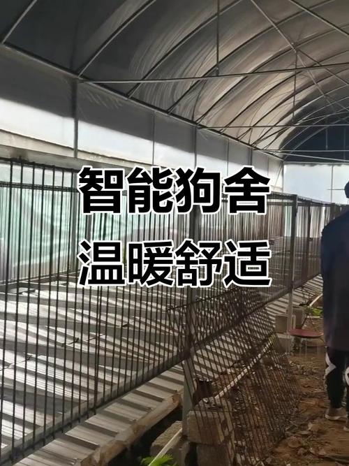 房前狗舍对风水有何具体影响？