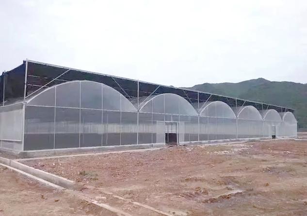 简易大棚建设会对周边风水产生怎样的影响呢？