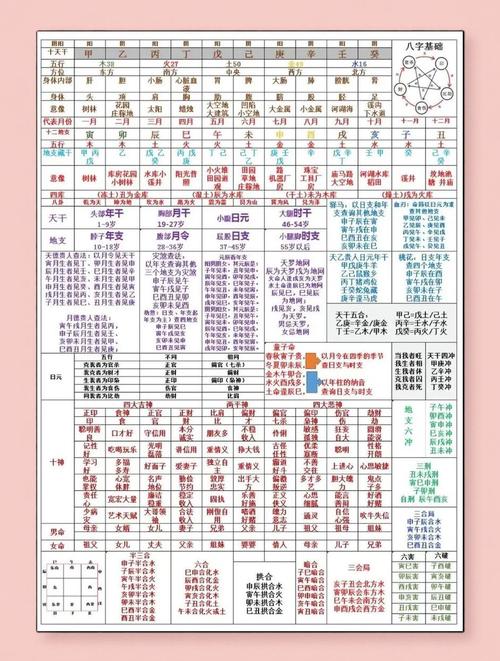 个子高的女命八字有哪些显著特点？