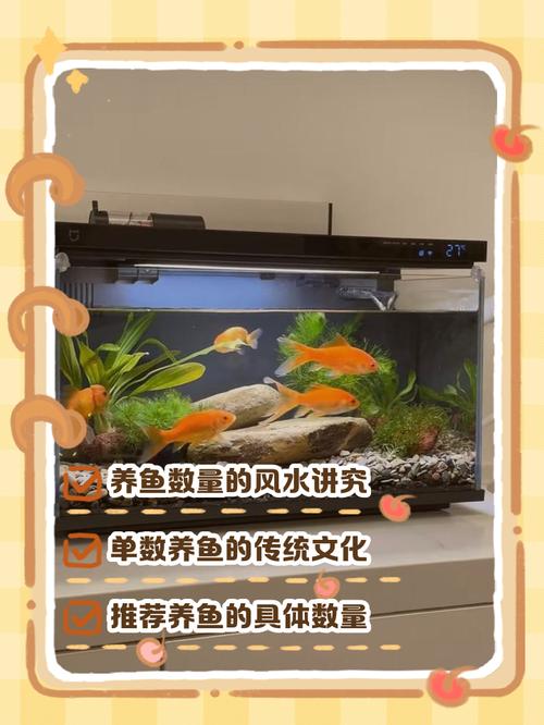 将风水鱼缸的水是否适合用来养金鱼，能否维持金鱼健康生长？